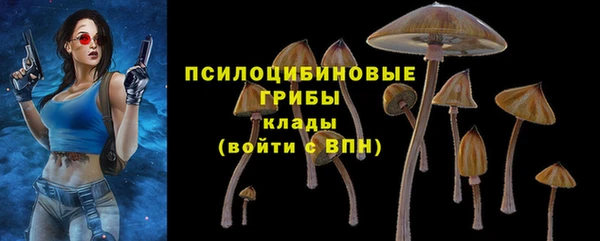 mdpv Лабытнанги