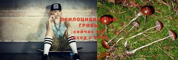 mdpv Лабытнанги