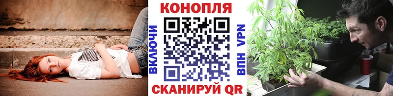 Купить  Екатеринбург  Бошки Шишки White Widow 